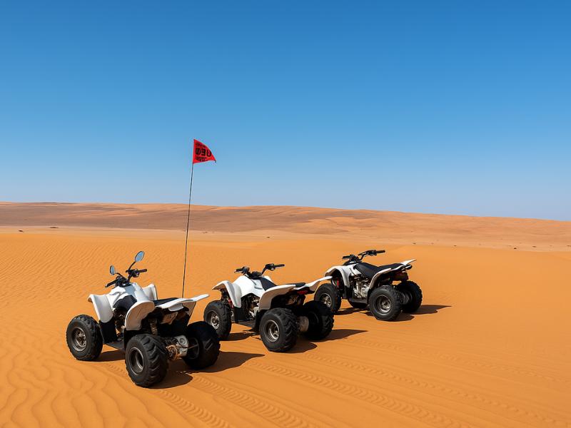 Oman: Full-Day Private Desert Adventure Experience