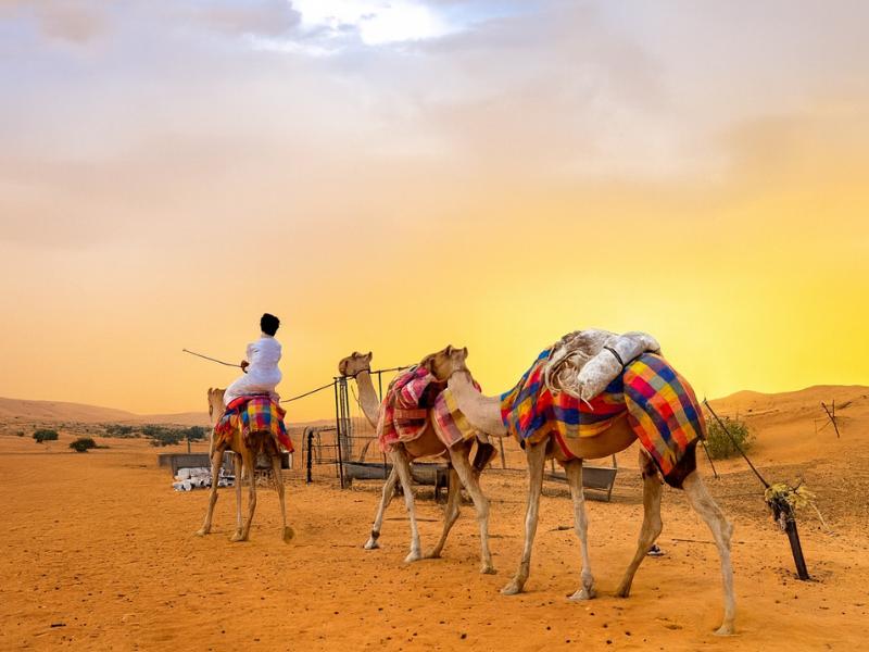 Wadi Bani Khalid & Oman Desert: Tour from Muscat